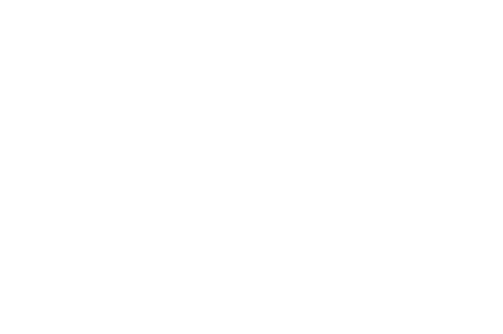 OFFICIAL SELECTION - Idyllwild International Festival of Cinema - 2018